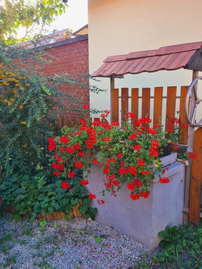 Kriszta Apartment Balatongyorok